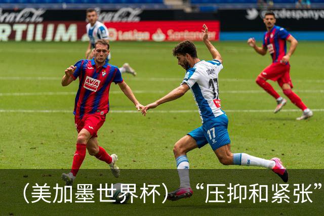 （美加墨世界杯）“压抑和紧张”中的伊朗队首秀